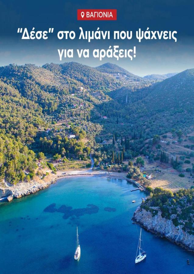 Private Beach House Irene Mare Poros Town Ngoại thất bức ảnh